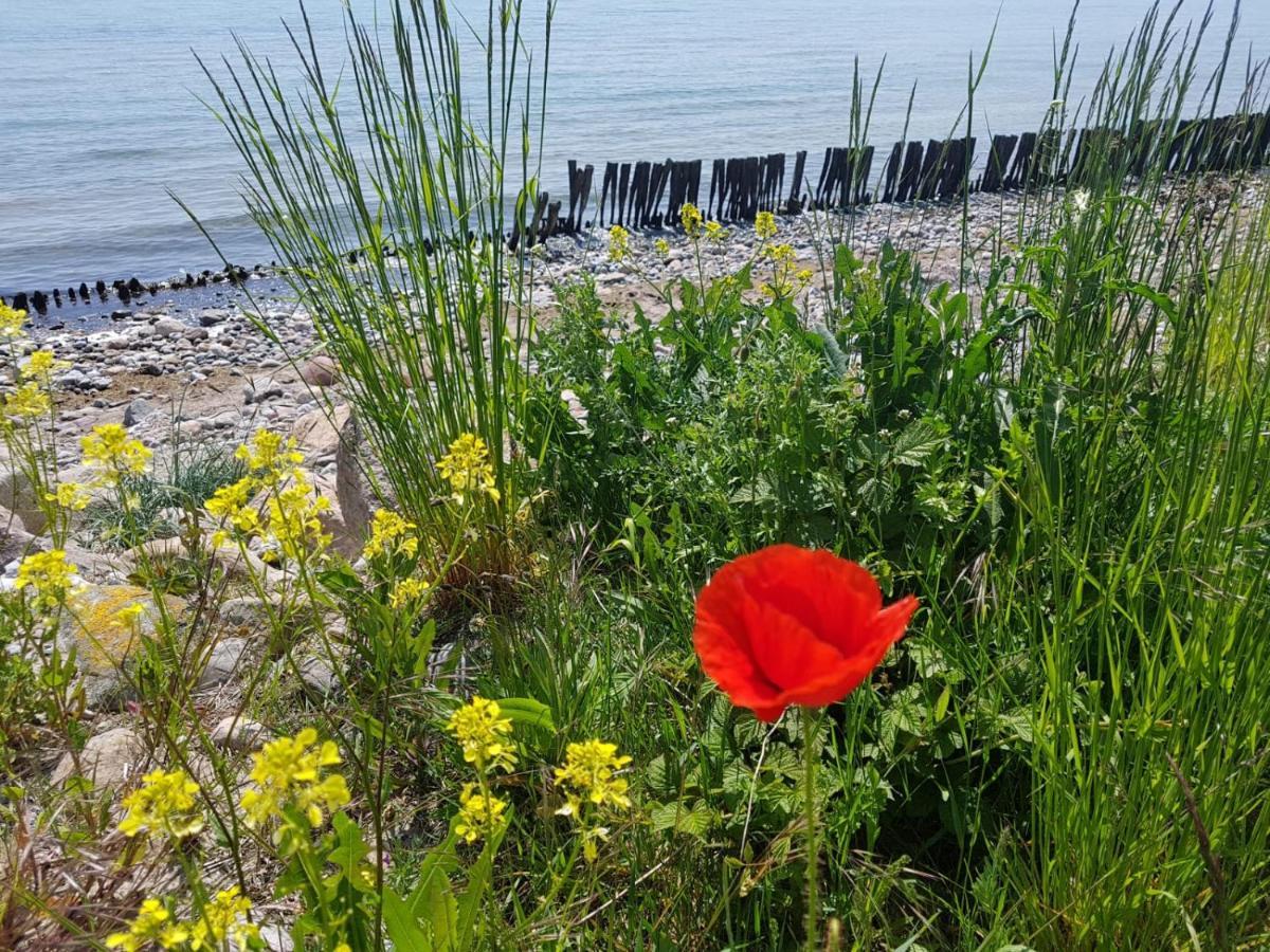 Ferienwohnung "Luv" Grube Ostsee Luaran gambar