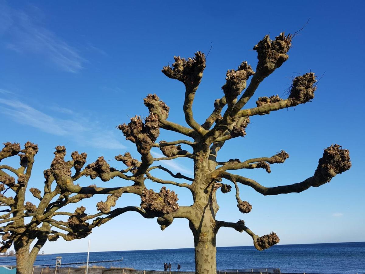 Ferienwohnung "Luv" Grube Ostsee Luaran gambar
