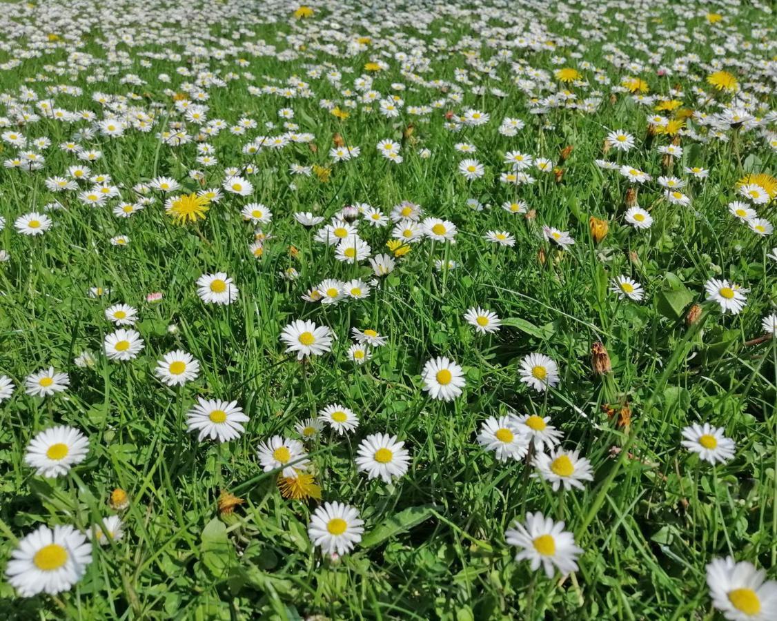 Ferienwohnung "Luv" Grube Ostsee Luaran gambar